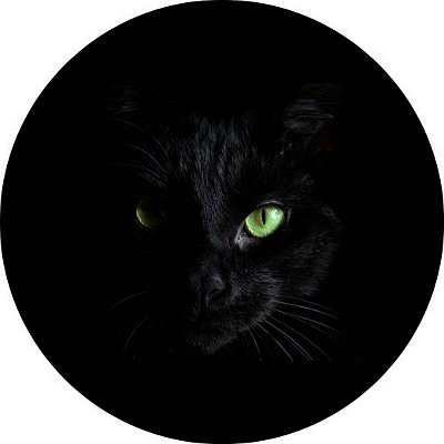 Capa Personalizada para Estepe Ecosport Crossfox Felino Gato Preto