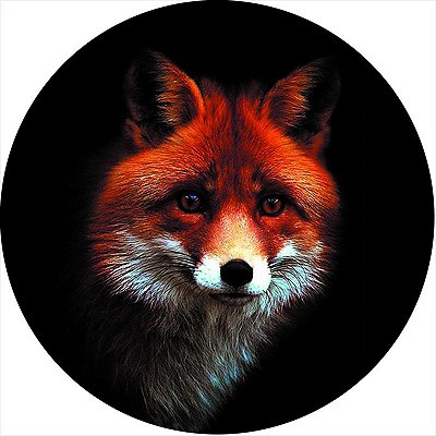 Capa Personalizada para Estepe Ecosport Crossfox Raposa 12