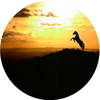 Capa de Estepe Personalizada para Ecosport Crossfox Cavalo
