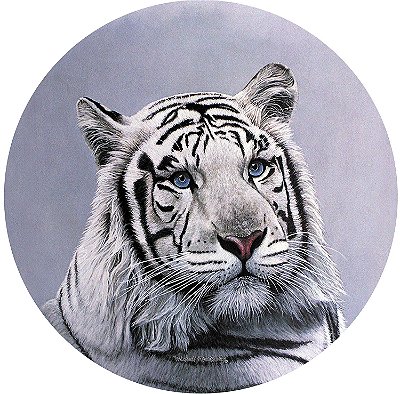 Capa Personalizada para Estepe Ecosport Crossfox Tigre Branco