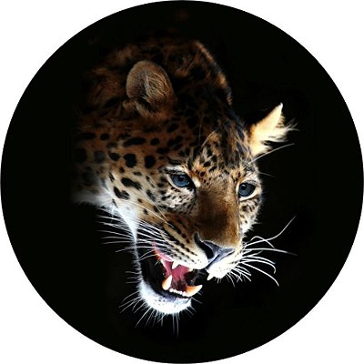 Capa Personalizada para Estepe Ecosport Crossfox Aircross Leopardo