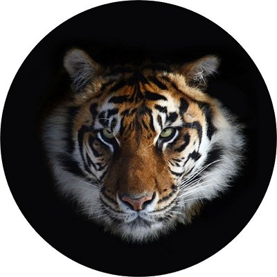 Capa de Estepe Personalizada para Ecosport Crossfox Tigre