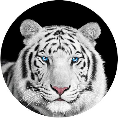 Capa de Estepe Personalizada para Ecosport Crossfox Tigre Olhos Azuis