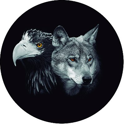 Capa Personalizada para Estepe Ecosport Crossfox Estampa Lobo e Águia PB