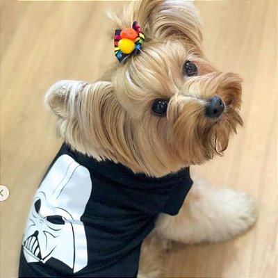 Camiseta Pet Influencer Roupa Para Cachorra Fêmea Pinscher Shih-Tzu - Dog's  Balloon Pet Store Produtos para Cachorro