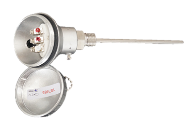 Termoresistência PT100 Cabeçote Grande Rosca 1/2 BSP haste 6x100 mm