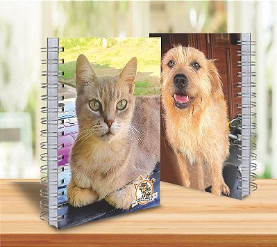 Cadernos GATO (Vários Tamanhos)