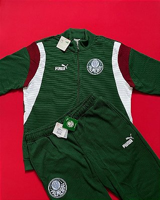 Conjunto Puma Palmeiras FTBLARCHIVE Masculino