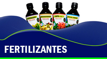 barbusfish-chamada-1