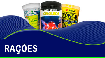 barbusfish-chamada-2