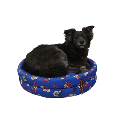 CAMA BOIA REDONDA DE ESPUMA