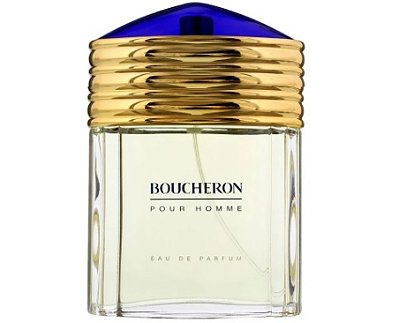 Boucheron Pour Homme Eau de Toilette 100 ml