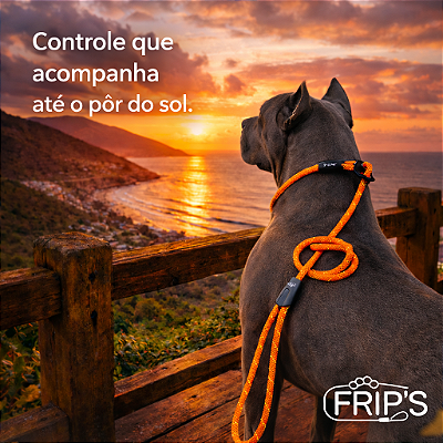 Guia Unificada Para Cães Super Fortes 9mm