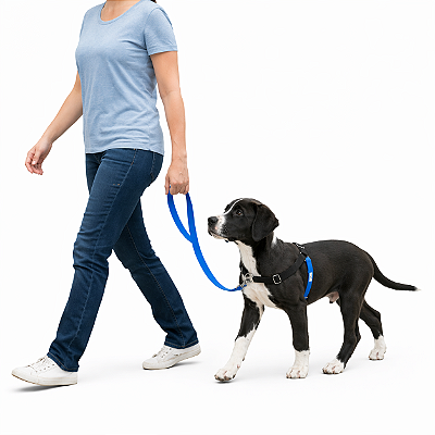 Peitoral Antipuxão para Cachorro + Guia Frip’s | Chega de Puxões com Conforto e Controle Total