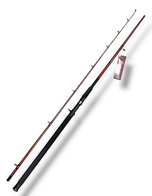 Vara Maruri Tamba C802 2,40m 40-80lb 2 Partes carretilha
