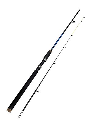 Vara Fishing Soletech 1,80m 81 lb 2 Partes p/ molinete