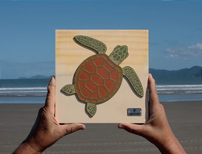 Placa Tartaruga