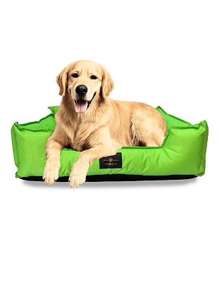 Cama Pet Cachorro & Gato - Impermeável- Nylon- XG- Verde-Limão
