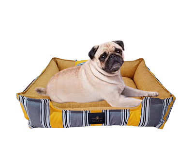 Caminha de Cachorro- Impermeável- Acquablock- G- Amarelo