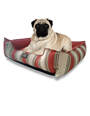Caminha de Cachorro- Impermeável- Acquablock- G- Vermelho Listrado