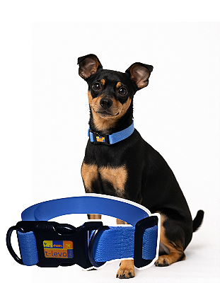 TLEVO- COLEIRA- Poliéster- P- AZUL