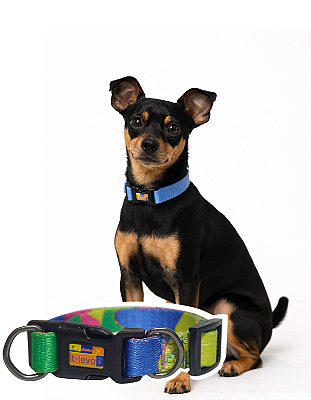 TLEVO- COLEIRA- Poliéster- P- Colorido Camuflado