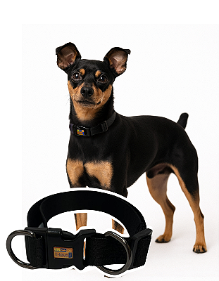 TLEVO- COLEIRA- Poliéster- P- PRETO