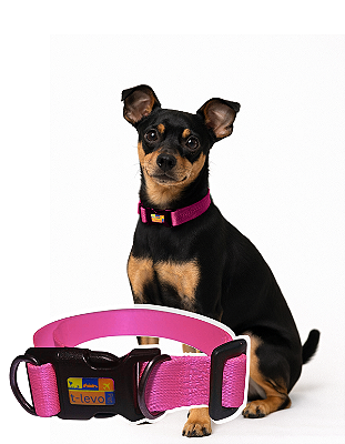 TLEVO- COLEIRA- Poliéster- P- ROSA
