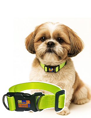TLEVO- COLEIRA- Poliéster- M- VERDE LIMÃO