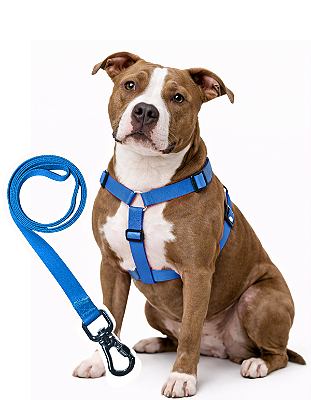 TLEVO- Peitoral H- Poliéster- GG- AZUL