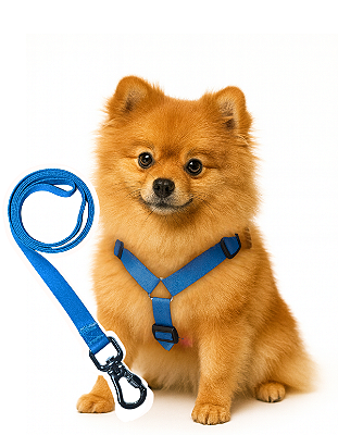 TLEVO- Peitoral H- Poliéster- M- AZUL