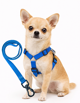 TLEVO- Peitoral H- Poliéster- P- AZUL