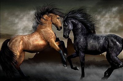 Quadro Cavalo - Selvagens