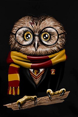 Quadro Harry Potter - Coruja do Harry 3