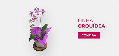 Orquideas