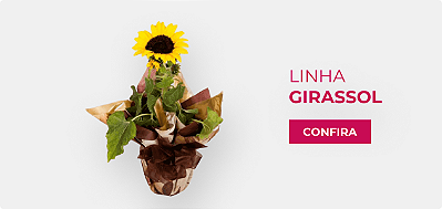 Girassol