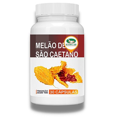 MELÃO DE SÃO CAETANO | BITTER MELON 🍈  💊