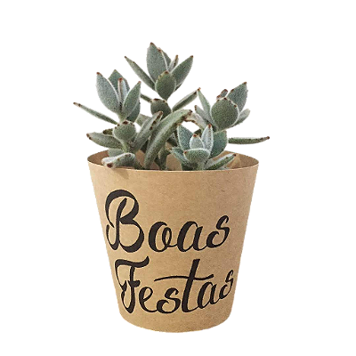 10 unidades Rótulo Kraft Boas Festas para Vaso 09