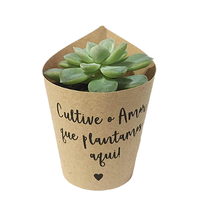 30 Rótulos Kraft Cultive o Amor que plantamos aqui para Vaso 6
