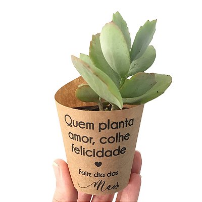 10 Rótulos Kraft para vasinhos Feliz dia das Mães