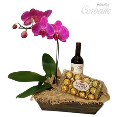 KIT Orquídea Pink no Cachepot + Caixa de Bombom Ferrero Rocher 12 unidades + Vinho Tinto Importado