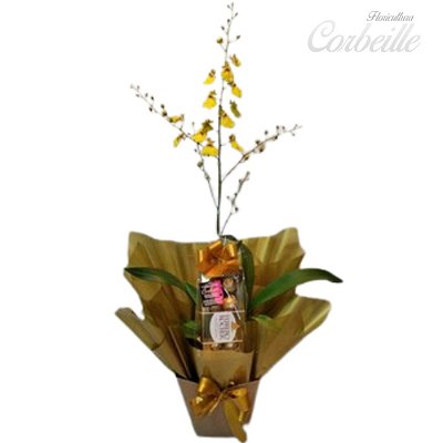 Orquídea Chuva de Ouro com Caixa de Bombons Ferrero Rocher 8 unidades