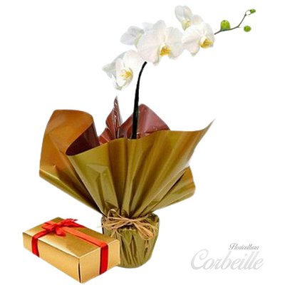 Orquídea Branca com Caixa de Bombons Sortidos