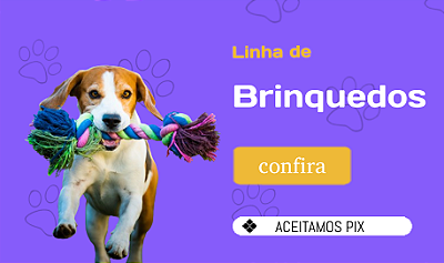 brinquedo