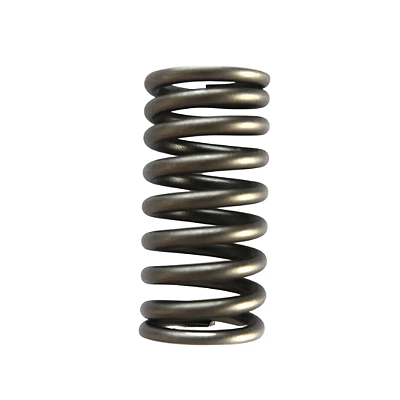 Mola de Pressão Motor MWM D229 2434614019