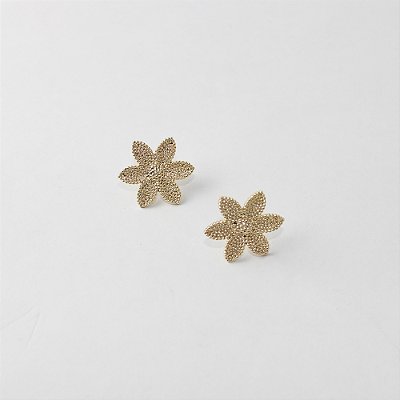 Brinco Metal Vazado Dourado