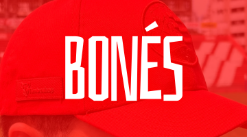 Bónes