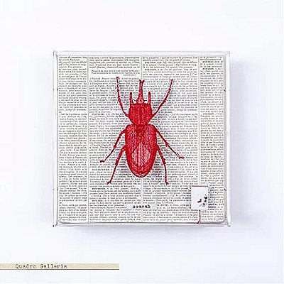 Quadro Galleria - Botânica Escaravelho