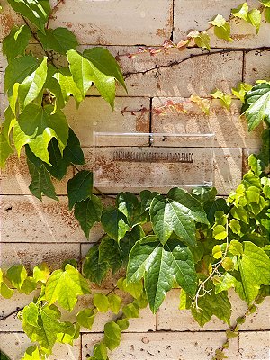 Quadro Caixa Acrílica PP - Gracias a la vida