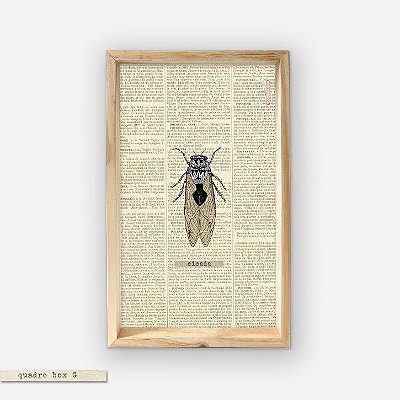 QUADRO BOX – CICADA